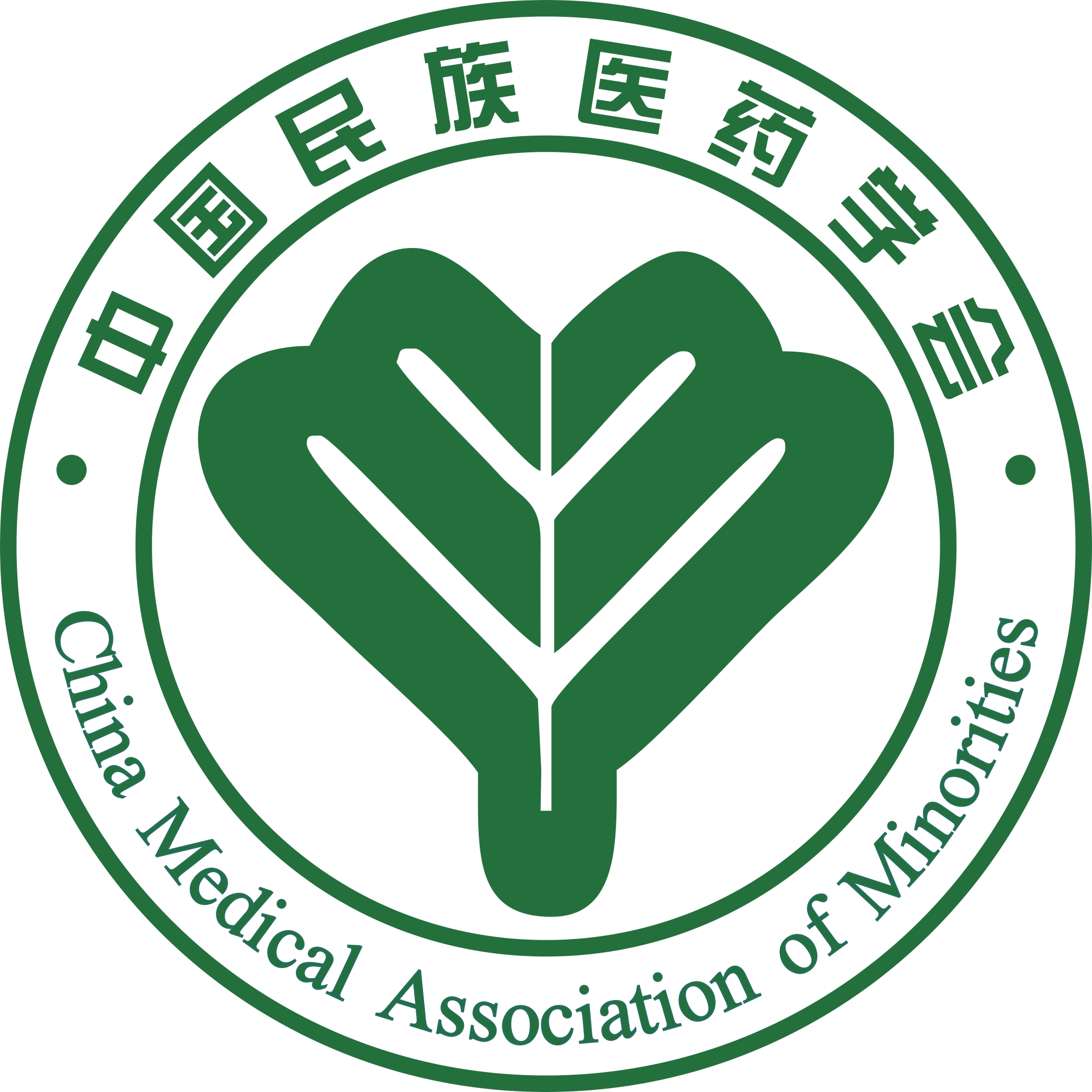 中国民族医药学会